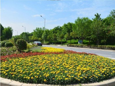 沈陽沈北新區園林綠化養護費用
